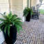 Ensemble de 2 plantes fougères Boston-25768688