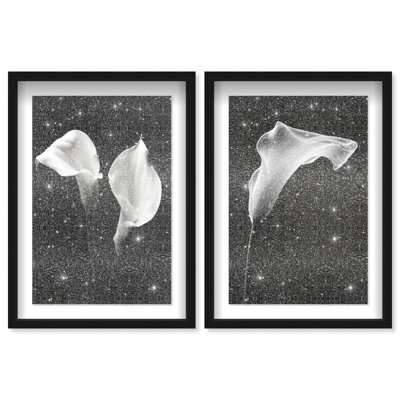 Calla Lily Set Shadowbox Floral & Botanical Print by Oliver Gal, Black Frame, 10 x 15