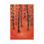 « Birches » par Nic squirrell-impression-53945070-53945071-54244298