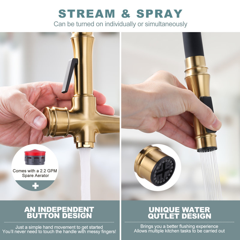 Aleasha Kitchen Faucet, Brushed Gold