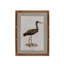 Wading Bird Prints, Set of 4