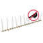 Majzara Stainless Steel Bird/Pigeon Spikes