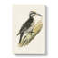 A Three-Toed Woodpecker by Von Wright - Wrapped Canvas-55368112