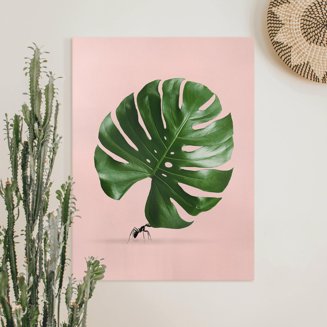 Leinwandbild Ameise mit Monstera Blatt von Jonas Loose