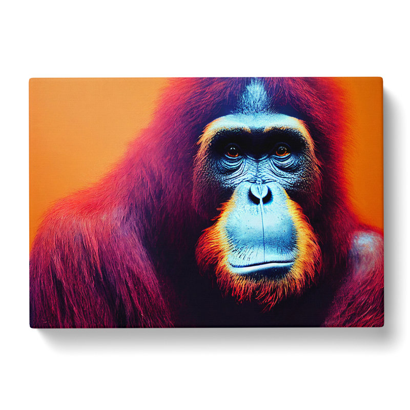 Spectacular Orangutan - Wrapped Canvas, 40cm H x 60cm W x 3cm D
