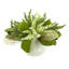 Mixed Green And White Heather Holiday Arrangement