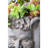 Magnesium Oxide Greek Planter With Legs - 22.4" Height Gray Decorate Patio And Entryway 11.4" X 13" For Interior Beauty