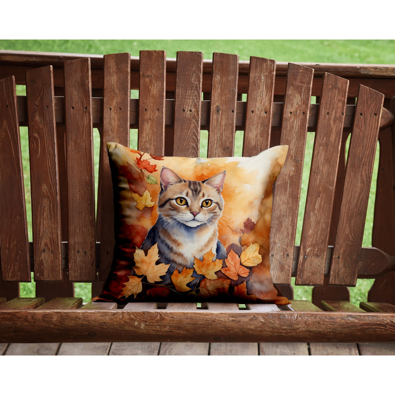 Coussin Raas, Carré 14 po