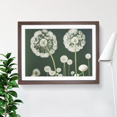 Charming Dandelion Flowers - Framed Print