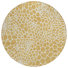 Gold/White