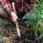 Hoe Garden Tool - 18” Double-Sided Carbon Steel Garden Hoe and 2-Prong Cultivator - Multipurpose Tiller, Seeding, Planting and Weeding Tool - Hand Gardening Tools by Kings County Tools