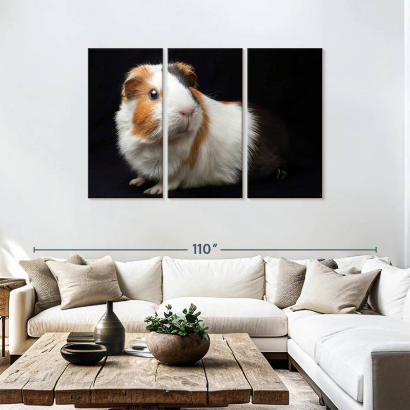 Guinea Pig