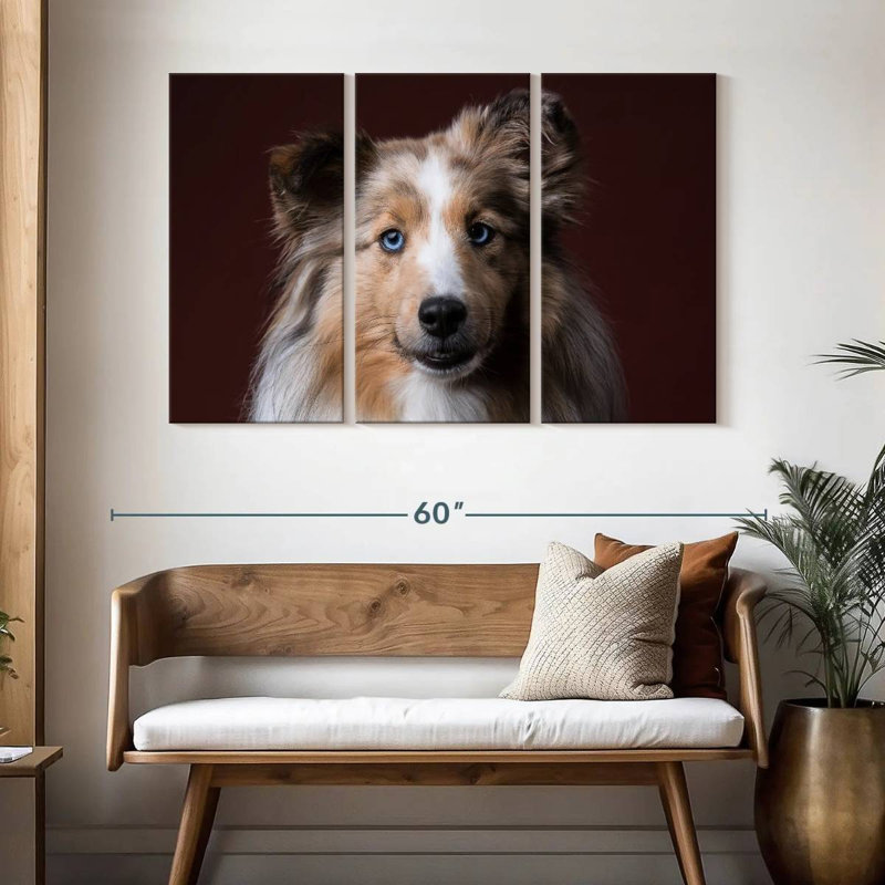 Adorable Sheltie, H 32 po x l 50 po