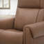 Fauteuil inclinable électrique Power Leg Leg P2-1584686901