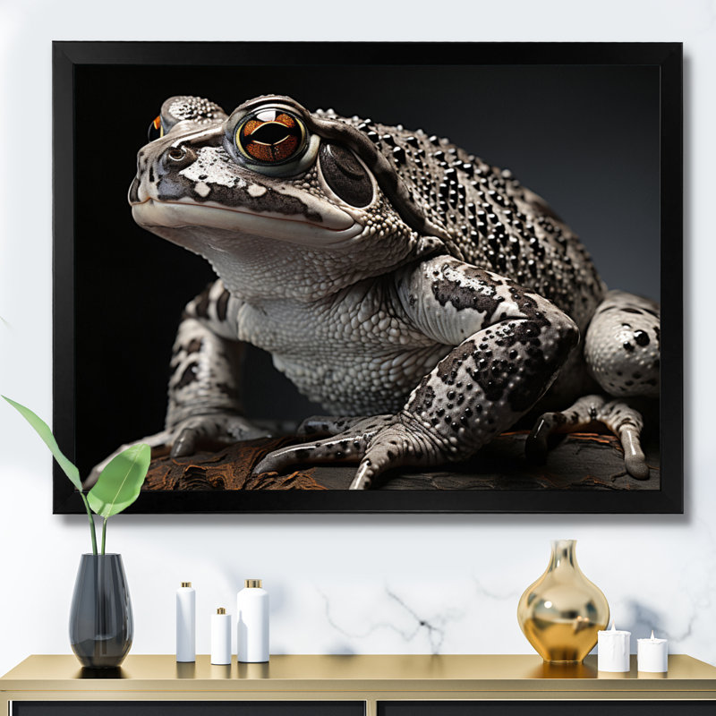 «Frog Portrait I», reproduction d'art sur toile, Cadre simple noir, H 34 po x l 44 po x P 1,5 po