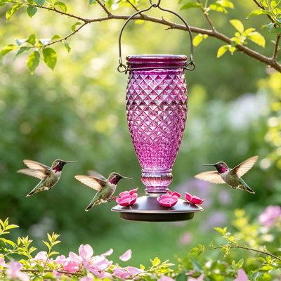 Mangeoire pour colibris en verre Diamond