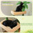 Cat Tree House