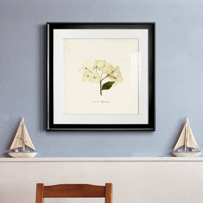 «Cornales Hydrangea II», reproduction encadrée de qualité supérieure - prête à être accrochée