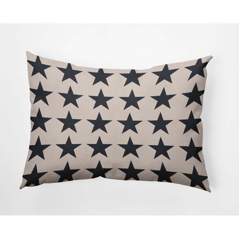 Polyester Lumbar Rectangular Indoor/Outdoor Pillow Cover & Insert