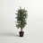 72'' Faux Tree in Wicker/Rattan Basket