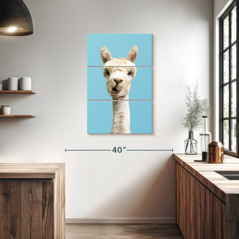 Brampt White Funny Alpaca, 38" H x 24" W