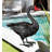 Black Swan Decor 18"