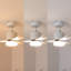 Okun 52cm Ceiling Fan with LED Lights