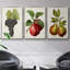 Antique Fruit VFramed, ensemble de 3 toiles tendues-97759971-97759970