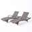 Hershman Outdoor Chaise Lounge Set
