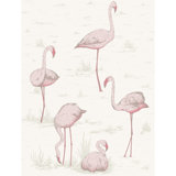 Flamingos Wallpaper Roll