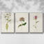 Mauve Garden Flowers IV, ensemble de 3 toiles encadrées sur toile-64058042-64058041