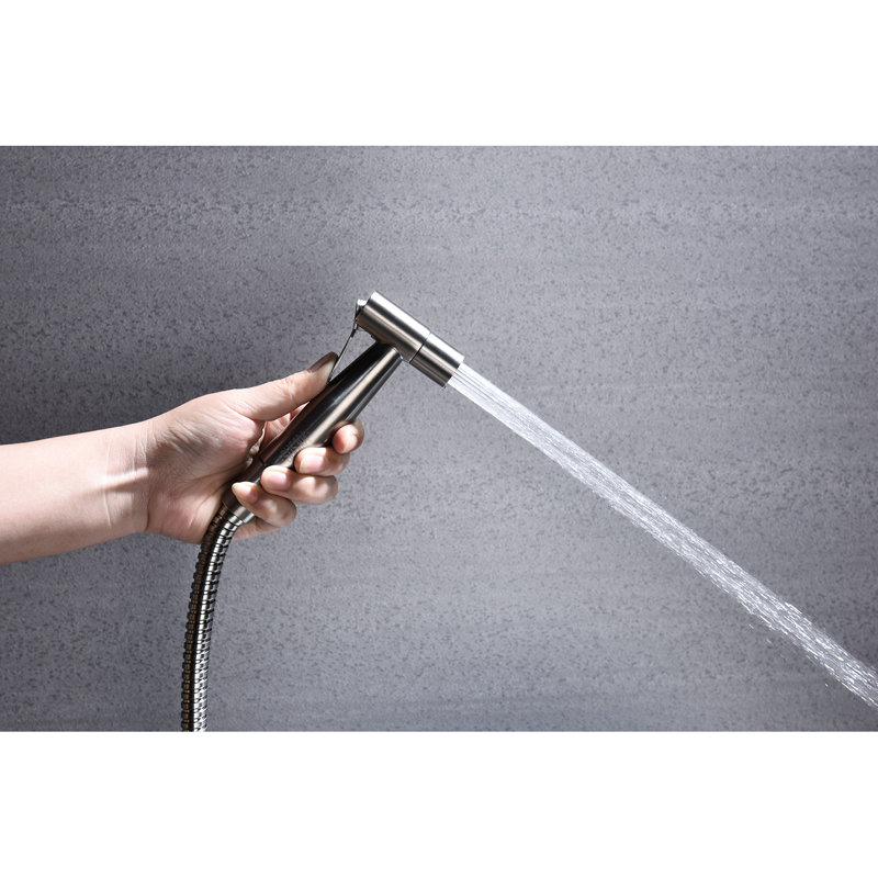 Handheld Bidet For Toilet - Silver Metal Build, Two Water Options, Hygiene Enhancement Metal, Silver, Settings, Improvement, Simple Fit