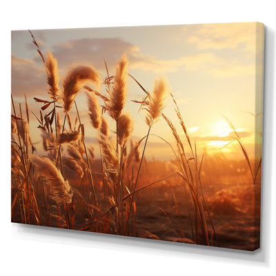 " Sunset Summer Meadows I "