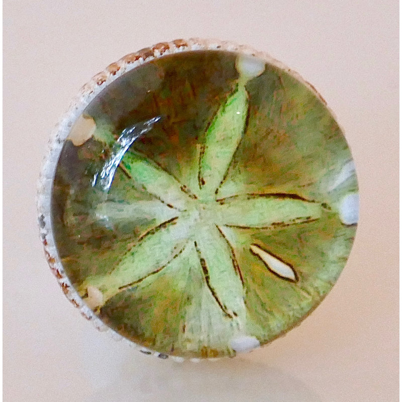 Sea Green Starfish Knob