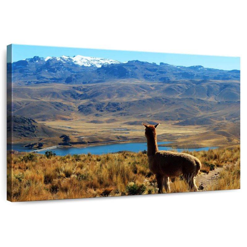 Brampt Lakeside Alpaca, 16" H x 24" W