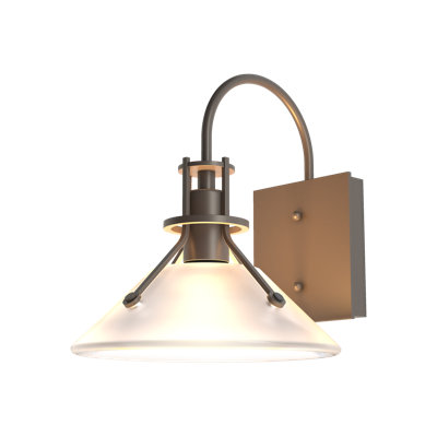 Henry Glass Shade Outdoor Barn Light
