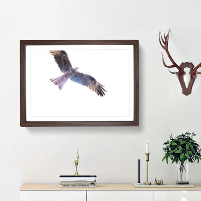Flying Eagle - Picture Frame Graphic Art Print