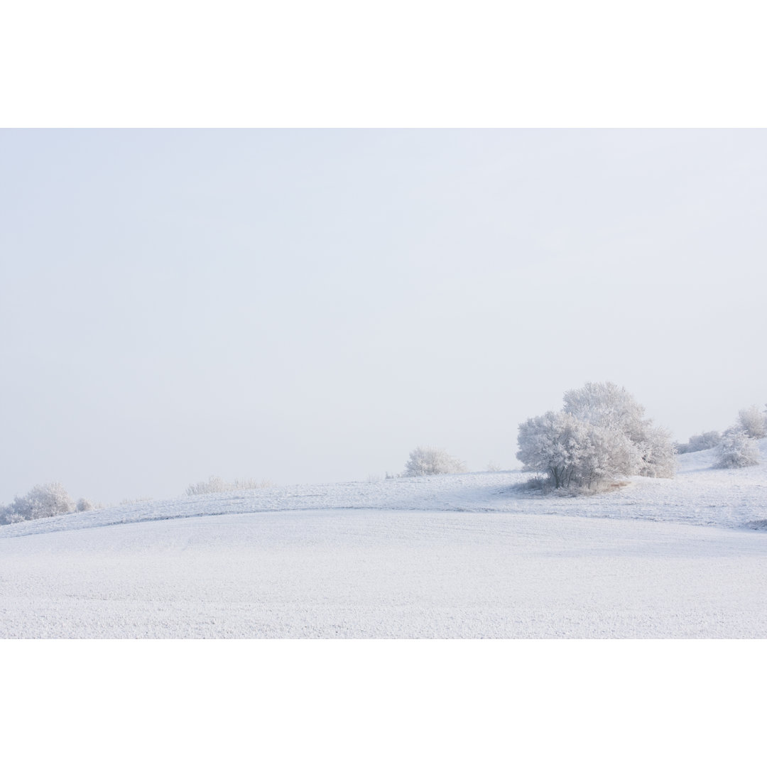 Ländliche Winterlandschaft von Matejphoto - Kunstdrucke auf Leinwand