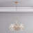 Harlune 6 - Light Gold Drum Glass Chandelier-1478957878