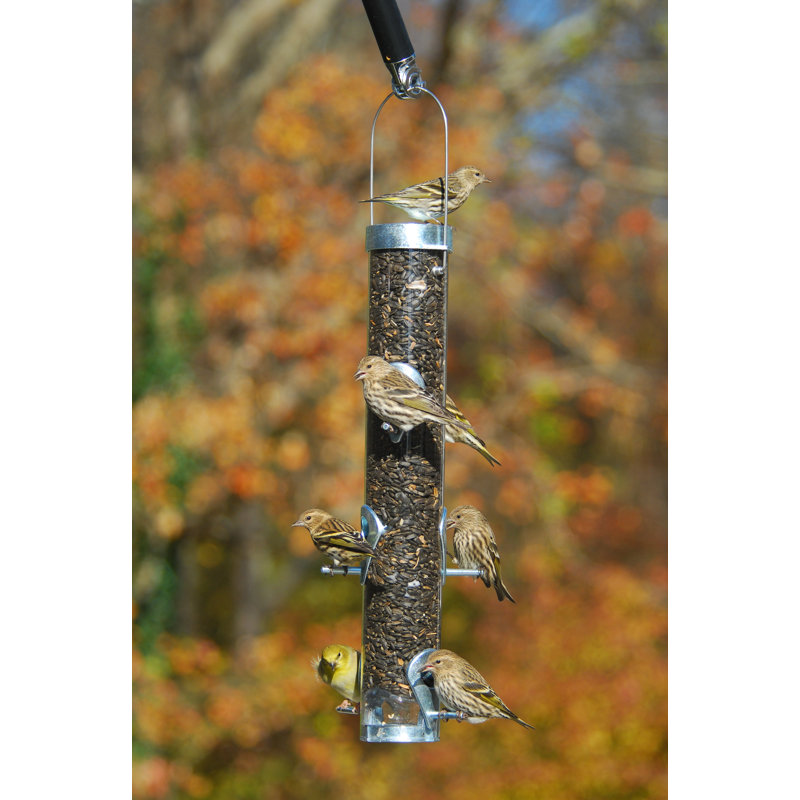 22-Inch Clear and Silver Squirrel Resistant Tube Bird Feeder
