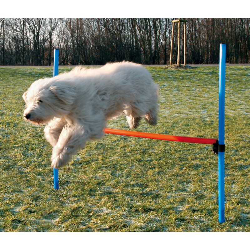 Adjustable Blue and Orange Dog Agility Hurdle