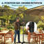 297cm Cantilever Parasol-662629142