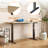 Height Adjustable Electric Standing Desk