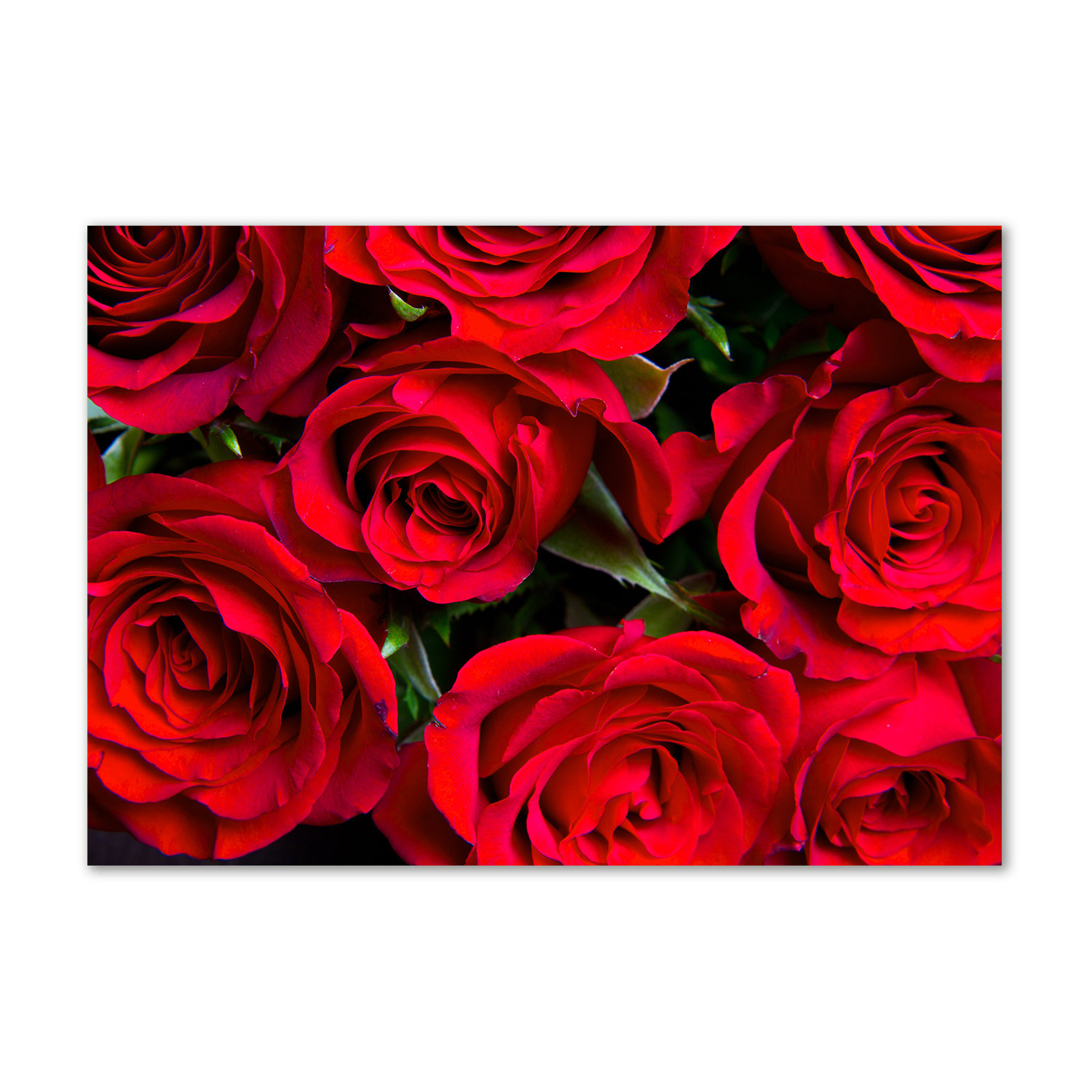 Ruby Roses Print Brayden Studio Red Roses - Wrapped Canvas Art Prints | Wayfair.co.uk