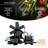 12 - Piece Non-Stick Aluminum Cookware Set