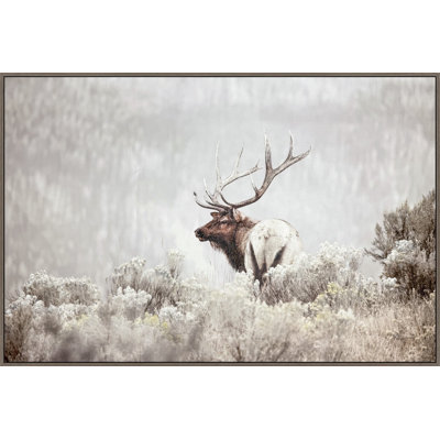 «Misty Monarch», art mural sur toile