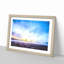 Field of Heather in the Netherlands - Picture Frame Graphic Art Print-55730924-55730915