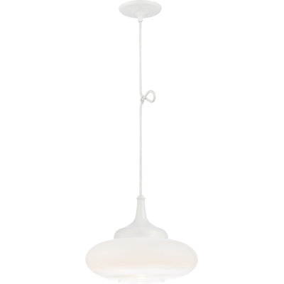Luminaire suspendu simple à 1 lumière Macfarlane