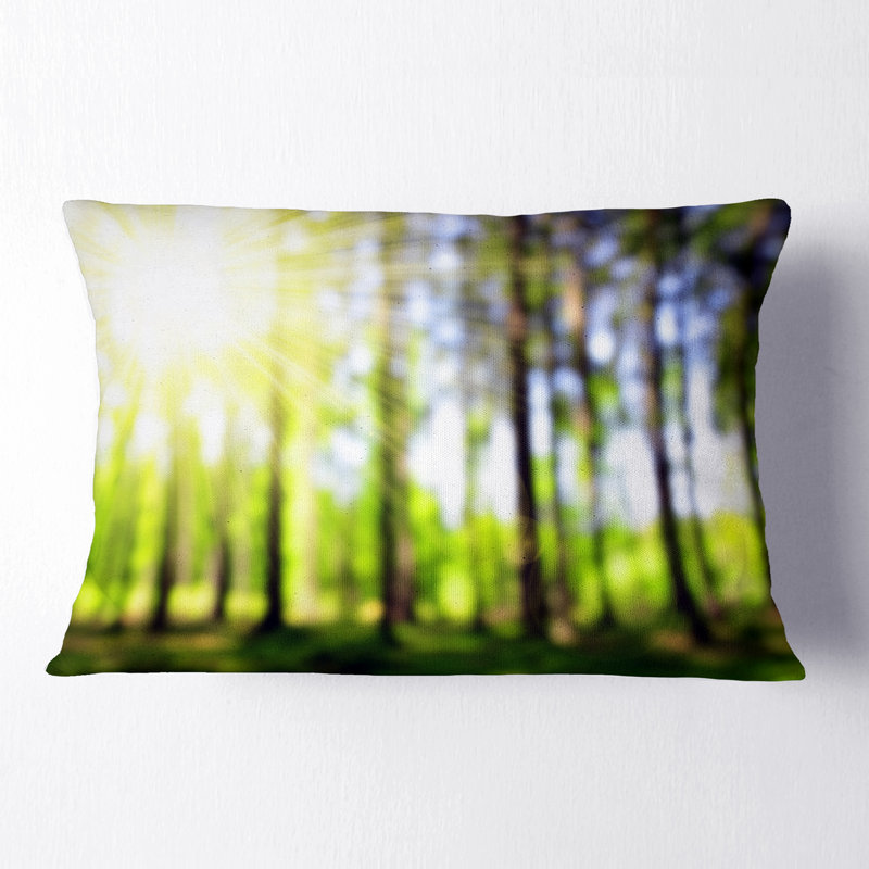 Coussin lombaire paysage Bokeh dans la forêt