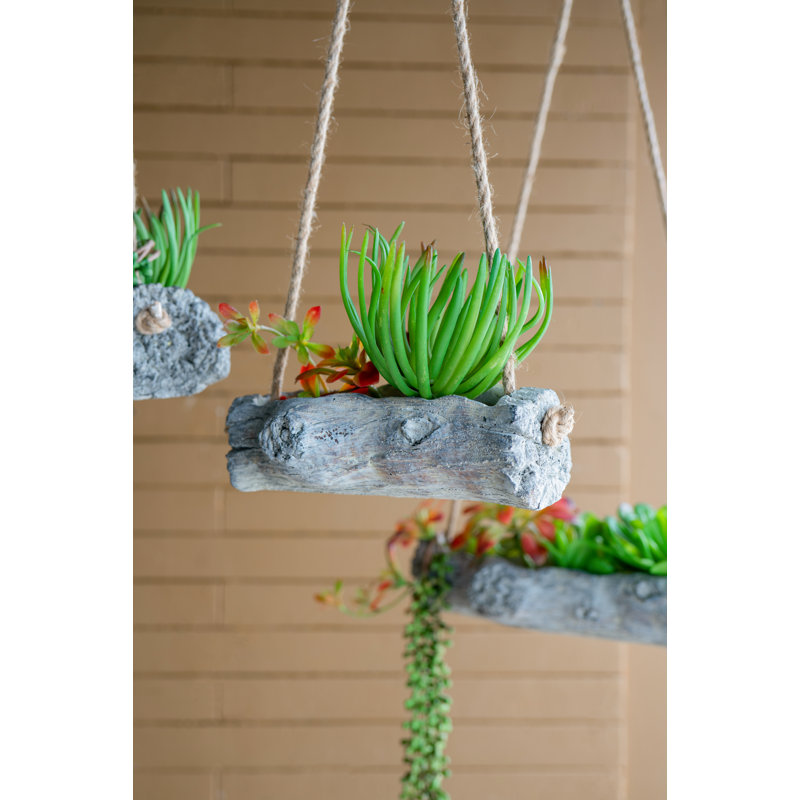 Pot à fleurs suspendu en ciment Antoniya, H 9,4 po x l 4,3 po x P 4,3 po